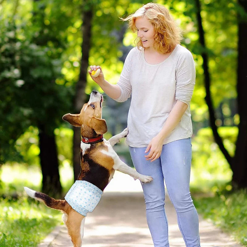10Pcs Dog Diapers Males Females Disposable Nappies Pants Physiological Underwear Adjustable Leakproof Breathable Safety Pants